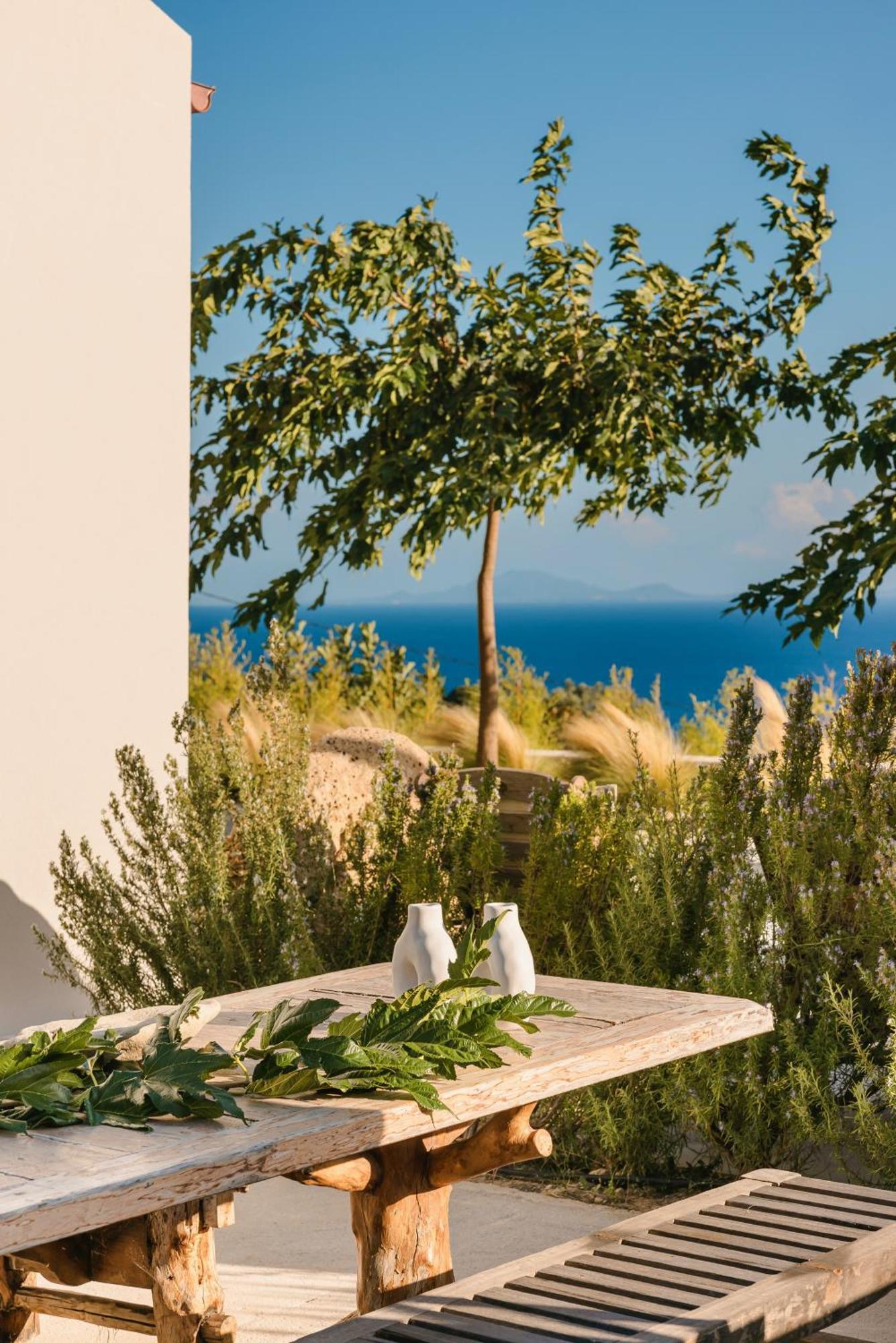 Spathes Suites Kefalonia - Luxury Suites Ratzaklíon Exteriér fotografie