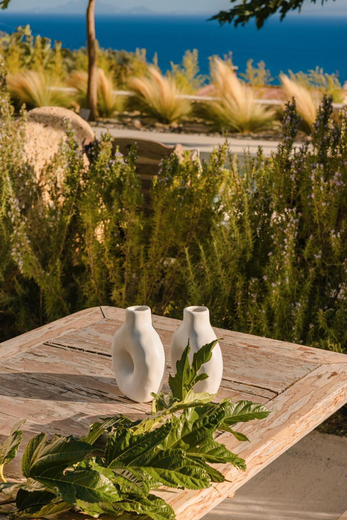 Spathes Suites Kefalonia - Luxury Suites Ratzaklíon Exteriér fotografie